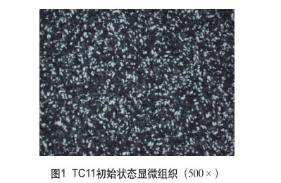 1647727099613019.jpg t1.jpg