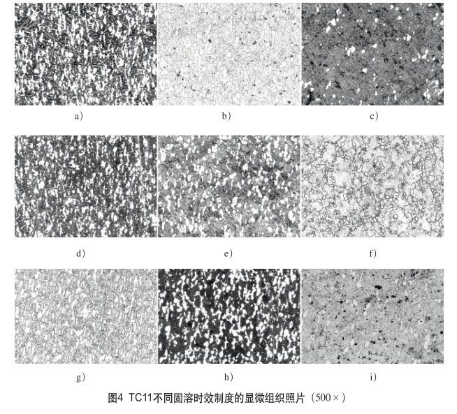 1647727208726473.jpg t4.jpg