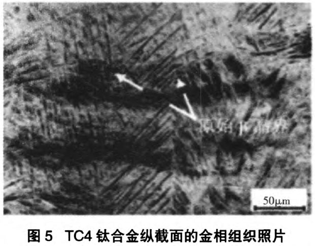 1668849390441998.jpg s5.jpg