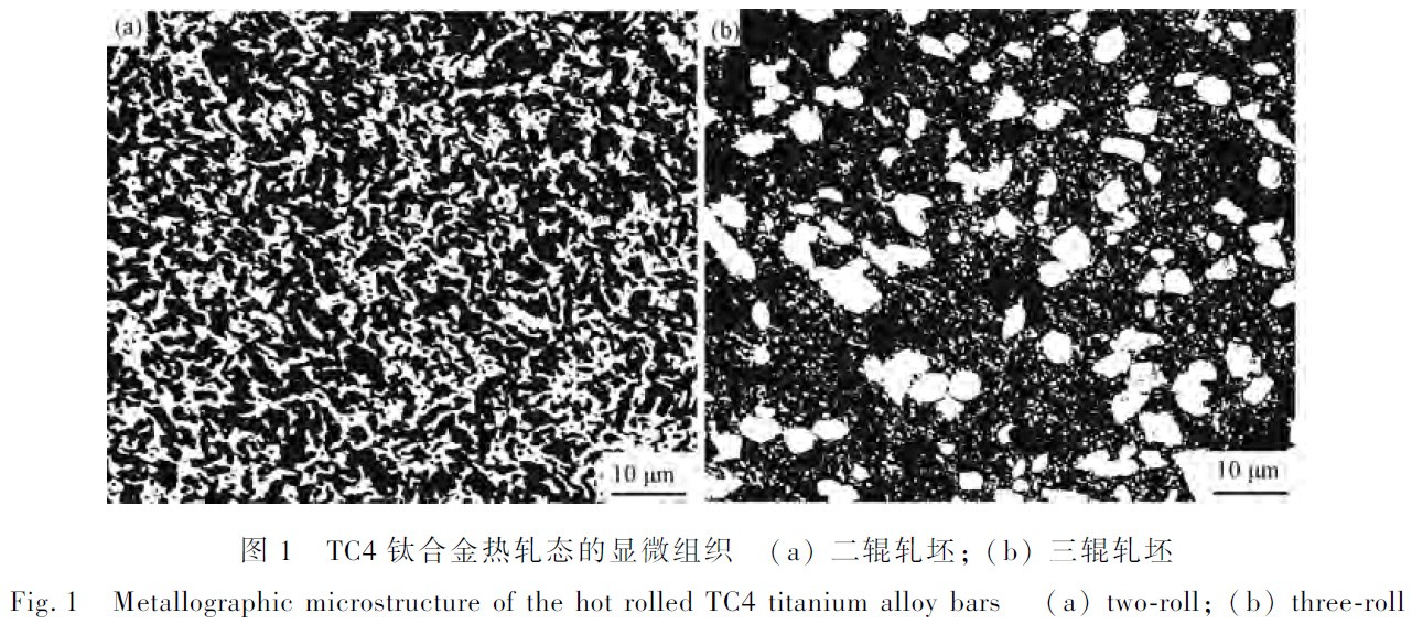 1672148229805365.jpg t1.jpg