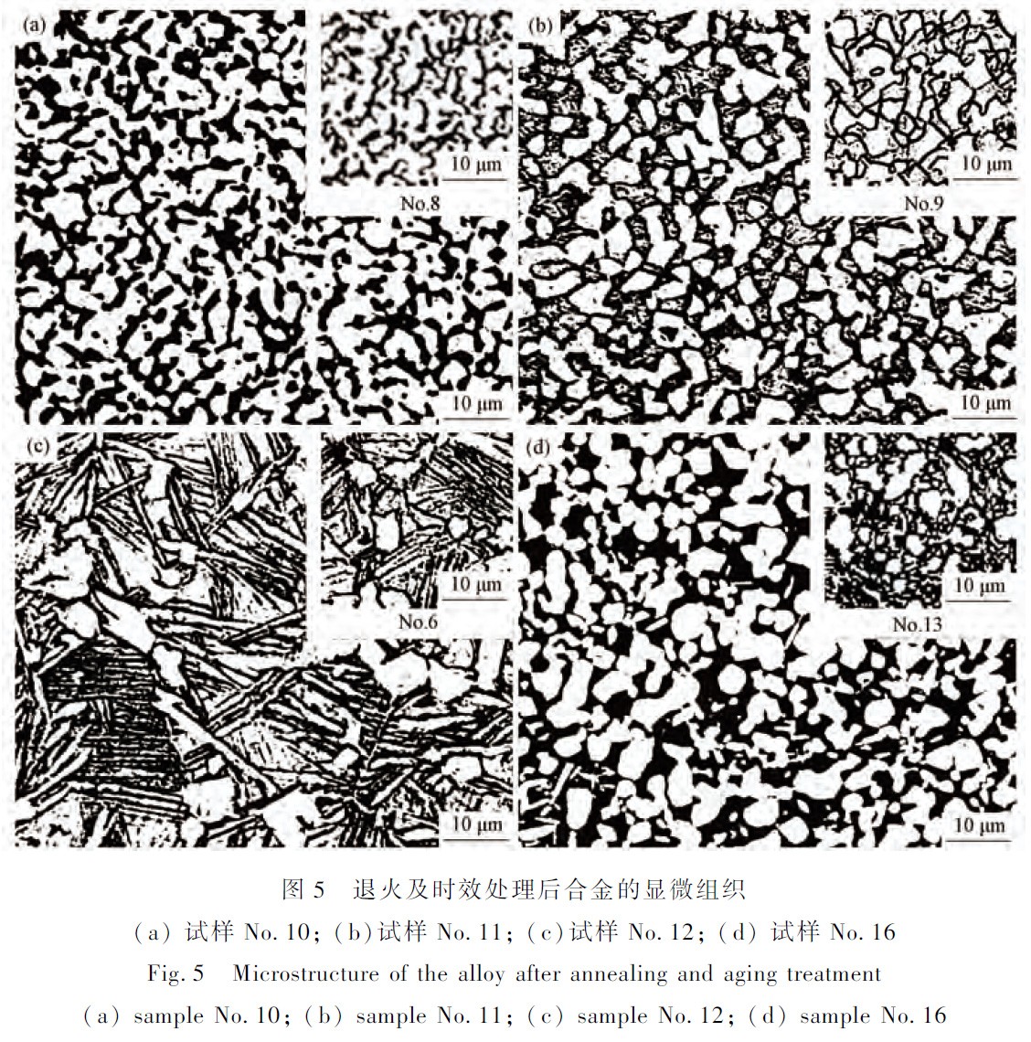 1672148317385284.jpg t5.jpg