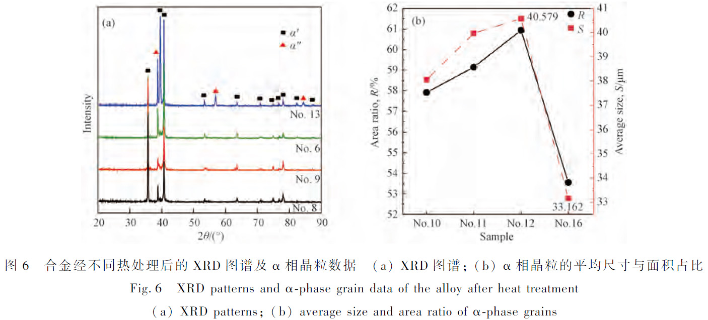 1672148330999371.jpg t6.jpg