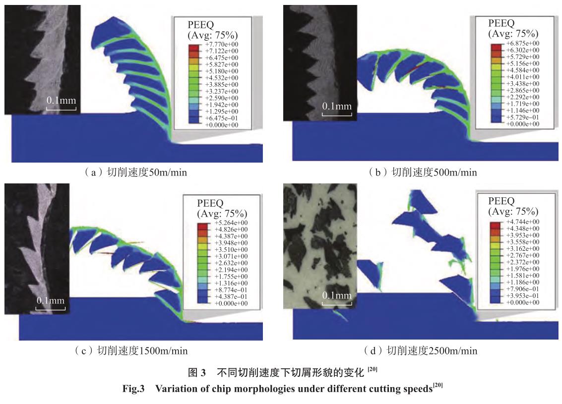 1692265930939864.jpg t3.jpg