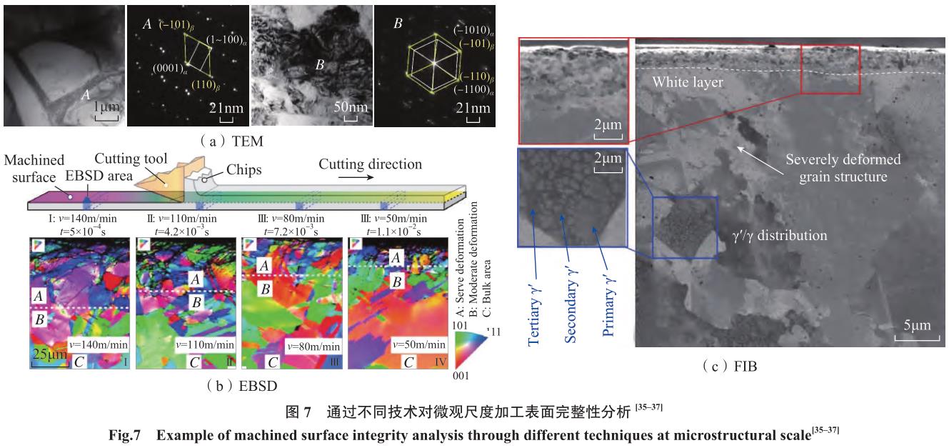 1692265977936039.jpg t7.jpg